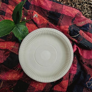 Assiettes rondes jetables Liyi en fibre de bambou écologiques, 50 pièces, compatibles micro-ondes et congélateur, biodégradables et compostables pour les fêtes - Product Image 4