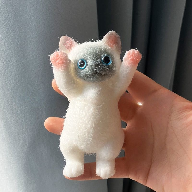Siam cat with raised paw