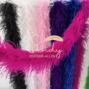 Venta barata 1ply 3ply 5ply Boa de avestruz de varios colores Boa de plumas de avestruz para ropa de baile vestido de novia accesorios decoraciones - Product Image 5