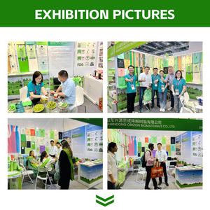 Pabrik Cina kustom cetak OEM tas kotoran anjing dipersonalisasi dengan Logo - Product Image 6