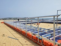 Plateforme flottante modulaire en plastique PE pour le stationnement et l'amarrage de jet-skis et de bateaux