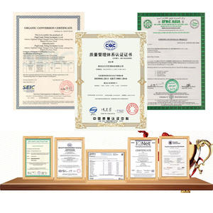 天然有機野生レタス葉エキスパウダーOEM ODMファクトリーレタスパウダー100% - Product Image 4