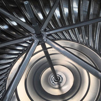 Ventilateur d'extraction éolien non motorisé pour toit d'entrepôt d'élevage avicole 110/500/800 mm