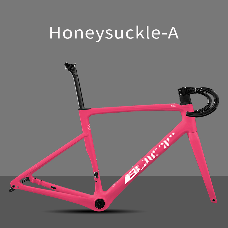 BXT Honeysuckle pink-A