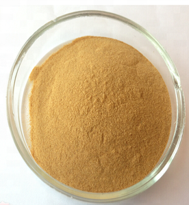 Curcumine de qualité alimentaire Offre Spéciale 95% forme de poudre d'extrait de curcuma naturel bouteille/tambour/récipient en plastique pour suppléments à base de plantes - Product Image 3