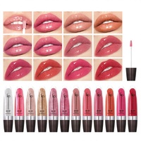 Gloss à lèvres de luxe, fini miroir, brillance rosée, paillettes fines, formule hydratante, application facile, lèvres pulpeuses et voluptueuses, 6,5 g
