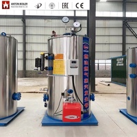 Chaudière à vapeur au charbon de bois de 0,3 à 0,5 tonne, machine de production de vapeur à biomasse bois LHS