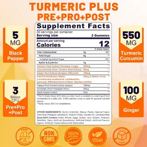 2024 Hot Private Label Support Joints Immune Digestive Health Sugar Free Turmeric Curcumin Filled Gummies