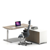 Bureau électrique à double moteur réglable en hauteur cadre de bureau assis-debout mobilier de bureau de luxe