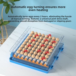 Fully Automatic Small Mini Rectangle Egg <strong>Incubator</strong> Hatching Box Cross-border Constant Temperature Chicken Duck Goose Quail - Product Image 3