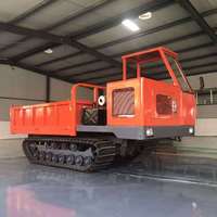 10 Tonnen Mini Spezial Crawler Dumper LXYS-10T für tropischen Dschungel Arbeits zustand Diesel Muldenkipper mit Spur