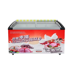 Rebirth Freezer Refrigerator Deep Freezer Display Cooler Fish Display Freezer