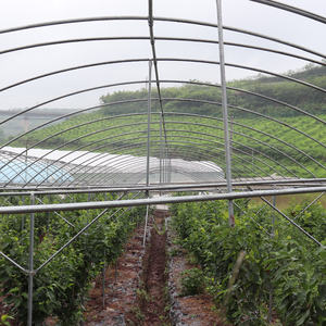 Mini serre pour <span class=keywords><strong>tomate</strong></span> à faible coût grande taille Poly Tunnel haute polythène abri de pluie Agriculture serre pour légumes - Product Image 6