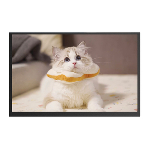 Écran LCD médical extérieur haute luminosité 10,1 pouces EV101WUM-N80 1000 Nits BOE ADS LVDS WLED RoHS - Product Image 6