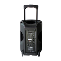Lecteur karaoké à la mode, haut-parleur Bluetooth sans fil, avec Microphone, grande basse, DJ Portable, nouvelle collection