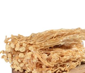 เห็ดเข็มทองธรรมชาติสำหรับอาหารสุขภาพเข็มทอง - Product Image 3