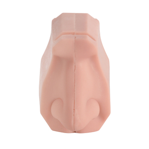 Silicone Anatomical Model for Medical School Training <strong>Nasal</strong> Exam Manikin <strong>Skeleton</strong> Model in Medical Science - Product Image 1