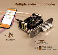 Módulo XY-T6001P T6001P, Placa Amplificadora de Audio Inalámbrica Monofónica de 600W, Chip Amplificador de Altavoz Dual Inalámbrico Verdadero TWS TPA3255