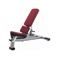 Rack de fitness multifonctionnel réglable et banc d'haltères commercial, ensemble de machines de musculation à charge libre pour salle de sport