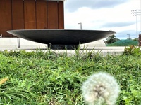 Meilleures ventes Bol d'eau de jardin en acier corten Étang d'eau