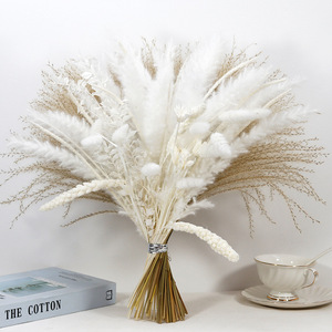2025 AYOYO Prix raisonnable Mélange <span class=keywords><strong>de</strong></span> plumes moelleuses <span class=keywords><strong>Bouquet</strong></span> <span class=keywords><strong>de</strong></span> <span class=keywords><strong>fleurs</strong></span> séchées sauvages <span class=keywords><strong>Fleurs</strong></span> séchées - Product Image 4