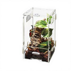 Coffret souvenir rectangulaire en alliage <span class=keywords><strong>de</strong></span> zinc pour la première <span class=keywords><strong>dent</strong></span> et la première mèche <span class=keywords><strong>de</strong></span> bébé, avec adorable ours doré/argenté, pour ranger les dents <span class=keywords><strong>de</strong></span> <span class=keywords><strong>lait</strong></span> des enfants - Product Image 3