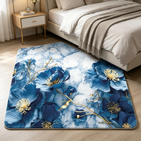 Tapis de porte en boue de diatomée super absorbant, à séchage rapide, antidérapant, imprimé sur mesure, tapis décoratif pour l'entrée de la maison, la cuisine