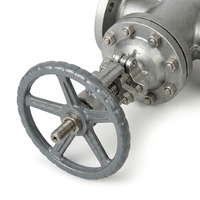 Vannes à opercule à bride en acier inoxydable 304/316, conformes aux normes de fabrication, DN15-DN300, haute température, pour applications municipales - Modèle Carp Journey Z41W