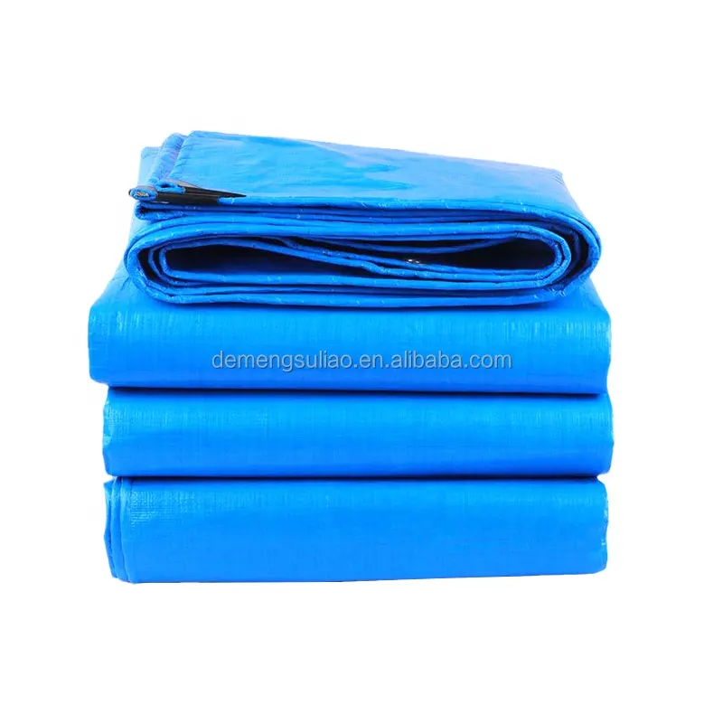 Copertura per camion In tela cerata blu stampabile In poliestere In formato Standard