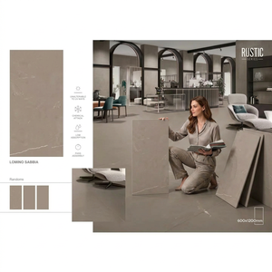 24x48in Ceramic Wall Designer 600x1200mm Home Decorative Wholesale Price in Stock 60x120cm Matt Finish Floor Porcelain Tiles - Product Image 1