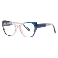TYSD-LS008 Nouvelles Lunettes Optiques Œil de Chat TR+CP Populaires en Stock Prêt à l'emploi Montures Unisexe Anti-lumière Bleue Durables avec Étui pour Extérieur