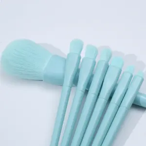 2022 Fashion Trends 10 Pieces New Makeup Brush Set With Mirror Case Custom Make Up Candy Blue Organizer Box Portable Brushes