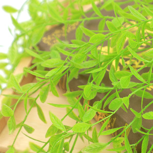 Artificial Willow Branches Green <b>Leaves</b> Hanging Plant Indoor Decoration Plastic Vines High Simulation - Product Image 2