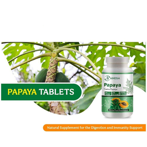 Comprimés minceur à l'enzyme de feuille de papaye de qualité supérieure, complément alimentaire à base de plantes, augmente la digestion et le système immunitaire, comprimé de papaye - Product Image 6