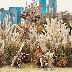 Bohémien fiori secchi naturali grande pennacchio Beige grande <span class=keywords><strong>erba</strong></span> di pampa per la casa fiori di nozze decorazione Hotel - Product Image 4