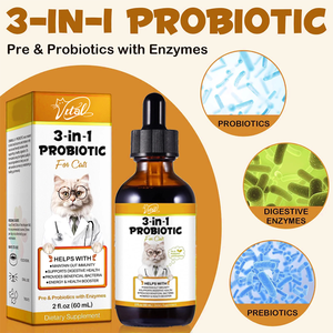 कुत्तों के लिए ओimमल 3-इन-1 प्रोबायोटिक्स बूट्स प्रतिरक्षा समर्थन आंत वनस्पति स्वास्थ्य बेकन स्वाद 60 मिलीलीटर - Product Image 4