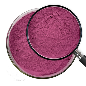 brazilfreezedriedfruitsuppliers