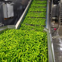 Haricots verts, soja frais congelé, edamame, riches en protéines, sains, non-OGM, de haute qualité, vente en gros, promotion