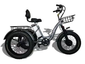 Triciclo Eléctrico Ligero de Doble Función para el Transporte Diario Familiar - Product Image 2
