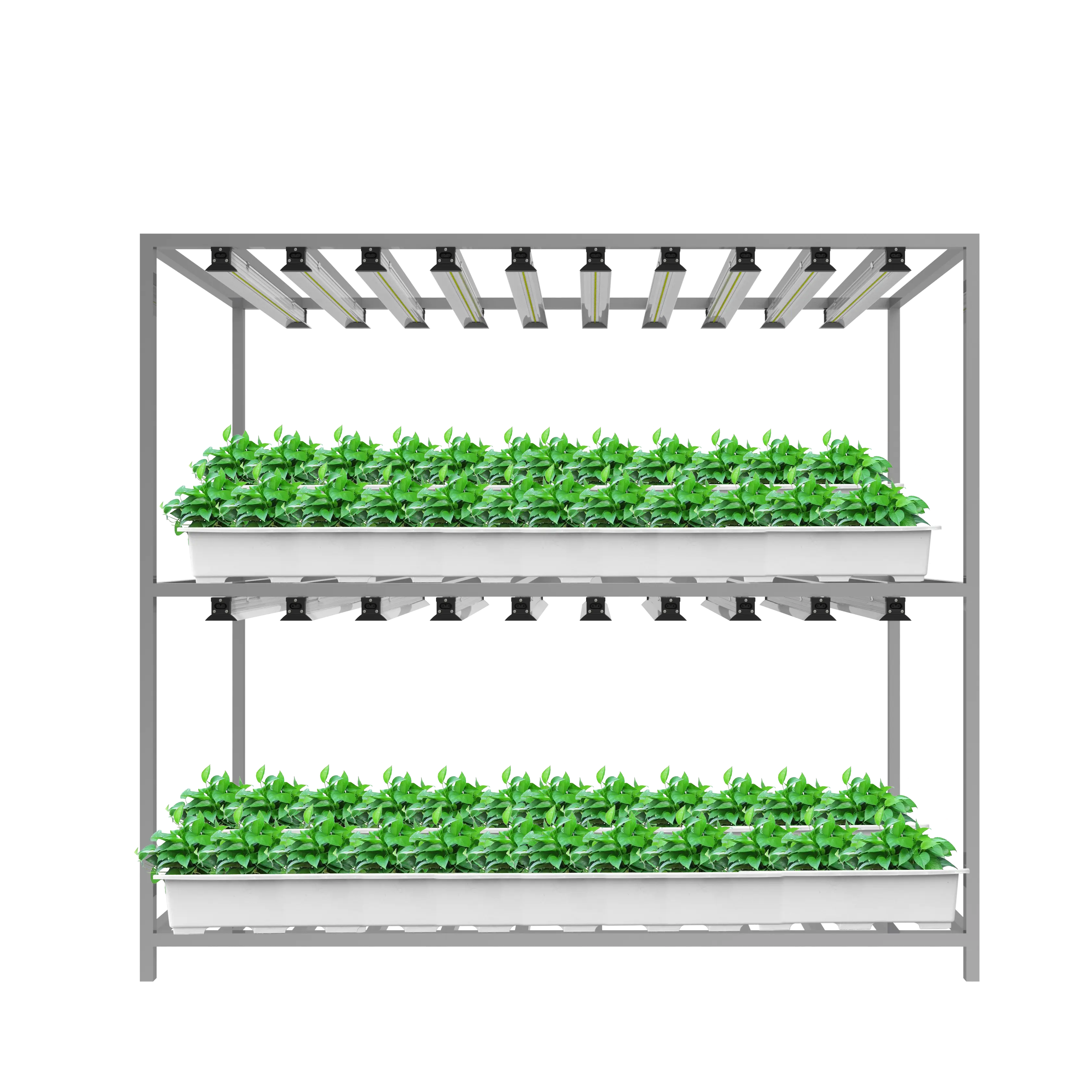 Led Grow Light Grow seedlings LED Full Spectrum Commercial Growing System Plant Growth Light