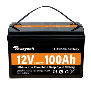Lifepo4 Battery Cell 12v 100Ah LiFePO4 Lithium Iron Phosphate Battery akku Packs 12.8V With BMS gel battery 12v 100ah