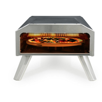 Fours portatifs de pizza de gaz de four de cuisson à gaz de 12 pouces avec la pierre