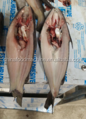 Filete de pescado, máquina cortadora rebanadora, precio, filete de pescado eléctrico, máquina de filete de sardina - Product Image 4