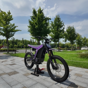 Motocicleta Eléctrica Todoterreno 2026, <span class=keywords><strong>Precio</strong></span> de Fábrica para Lynx, Motor Central de Litio de 10KW 72V, Freno de Disco, 120km de Autonomía, <span class=keywords><strong>Moto</strong></span> de Carreras para Adultos - Product Image 6