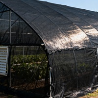 Nouveau matériau HDPE noir serre pare-soleil filet pour l'agriculture 30%-90% filet d'ombrage horticole