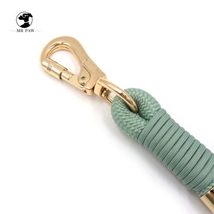 Collier pour chien en velours doux écologique, laisse en polyester couleur sauge, porte-sac à déjections canines doré tendance, DEM/DOM disponible - Product Image 2