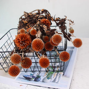 Échinops <span class=keywords><strong>bleu</strong></span> (globe <span class=keywords><strong>bleu</strong></span>) préservé, fleurs séchées bleues naturelles pour mariage, maison, décoration rustique - Product Image 5