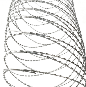 Alambre de púas tipo concertina de acero inoxidable galvanizado, alambre de seguridad antirrobo para protección de límites - Product Image 1