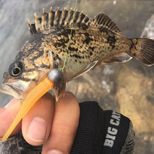 Esca Galleggiante FUN, Esca Artificiale Morbida, Coda Corta in Acciaio Inox, Bocca Inclinata, Verde Cavallo, 10 Pezzi - Product Image 4