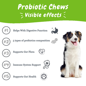 Factory 120 - Golosinas Probióticas Naturales para Mascotas, Alimento y Suplemento para Perros, Proveedores de Snacks para la Salud Intestinal de las Mascotas - Product Image 4